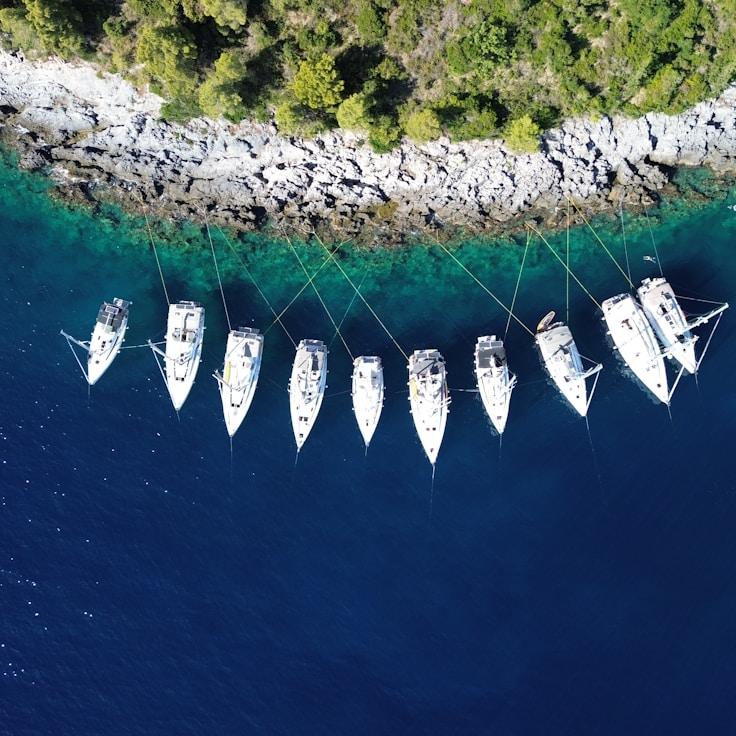 Gathering at sea